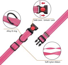 img 3 attached to Enhanced Safety: Reflective Dog Collar and Leash Set with Adjustable Nylon Pet 🐾 Collars and Safety Locking Buckle - Ideal for Small, Medium, and Large Dogs (4 Sizes)