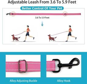 img 2 attached to Enhanced Safety: Reflective Dog Collar and Leash Set with Adjustable Nylon Pet 🐾 Collars and Safety Locking Buckle - Ideal for Small, Medium, and Large Dogs (4 Sizes)