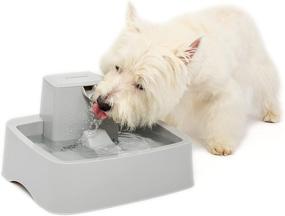 img 4 attached to 🐾 PetSafe Drinkwell Water Fountain - Automatic Water Bowl for Cats, Dogs, and Multiple Pets - Includes Pump and Water Filter - Dishwasher Safe - Easy Clean Pet Dish - Water Dispenser - 1 Gallon/128 Ounce