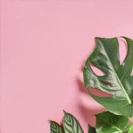 pink wallpaper peel and stick self adhesive 15.7''x118'' waterproof decorative vinyl film roll for walls cabinet dresser shelf drawers liners bedroom children's room логотип