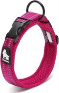 chai's choice premium dog collar - soft, padded, reflective collar for large, medium, and small dogs - matching harness & leash available (medium, fuchsia) logo