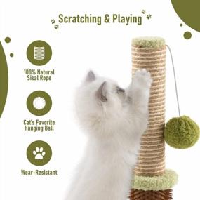 img 2 attached to Sturdy Double Base Plate Cat Scratching Post With Self Groomer - Ideal For Indoor Kittens, Jaoul 21 Design