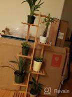 картинка 1 прикреплена к отзыву 🌿 Бамбуковая стойка для растений на 5 уровней с горшками - полка с держателями для нескольких цветочных горшков - стеллаж для выставки комнатных и садовых растений на патио, в саду, на углу, на балконе, в гостиной. от Miguel Yurco