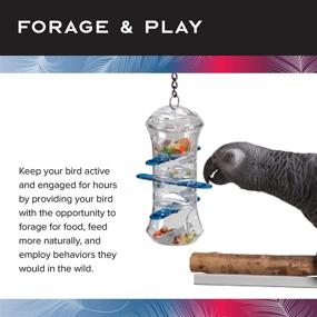 img 2 attached to 🐦 Featherland Paradise: Push, Pull, and Treat Bird Puzzle - Ultimate Foraging Fun for Medium to Large Birds