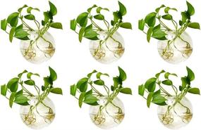 img 4 attached to Add Natural Elegance To Your Home With NUPTIO'S 6-Piece Wall Hanging Planters And Terrariums Set
