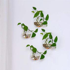 img 2 attached to Add Natural Elegance To Your Home With NUPTIO'S 6-Piece Wall Hanging Planters And Terrariums Set