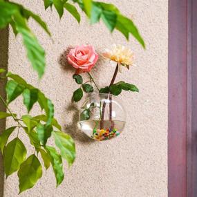 img 1 attached to Add Natural Elegance To Your Home With NUPTIO'S 6-Piece Wall Hanging Planters And Terrariums Set