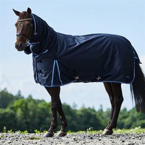 img 3 attached to 🐎 HORZE Glasgow Heavy Weight Winter Turnout: Waterproof Combo Horse Blanket with Neck Cover (400g Fill)