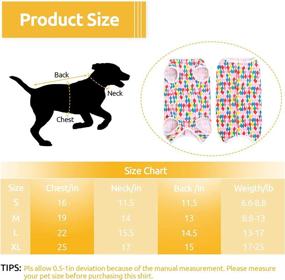 img 2 attached to Preferhouse Recovery Surgical Abdominal Anti Licking Dogs