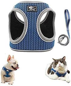 img 1 attached to 🐾 FEimaX No Pull Dog Harness and Leash Set for Small Dogs/Cats - Adjustable Reflective Breathable Soft Mesh Vest, Step-in Puppy/Kitten Harness for Escape Proof Outdoor Walking