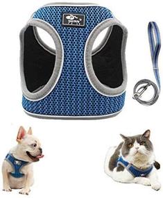 img 4 attached to 🐾 FEimaX No Pull Dog Harness and Leash Set for Small Dogs/Cats - Adjustable Reflective Breathable Soft Mesh Vest, Step-in Puppy/Kitten Harness for Escape Proof Outdoor Walking