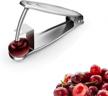 304 stainless steel intpro cherry pitter tool - effortlessly remove cherry stones and make delicious cherry juice and cherry coke at home logo
