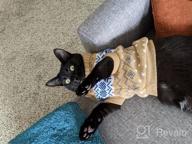 img 1 attached to 🐱 Evursua Winter Knit Cat Clothes Sweater for Small Dogs and Cats - Warm, Soft, High Stretch - Fits Male and Female Pets review by Braden Bowers