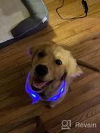 img 1 attached to USB Rechargeable LED Dog Collar For Night Safety - Joytale Light Up Collar In Blue - Glows In The Dark, Ideal For Small, Medium, And Large Dogs review by Bryan King