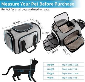 img 3 attached to 🐾 JVXYUIEH Airline Approved Pet Carrier - Large Expandable Soft-Sided Travel Carrier for Cats, Dogs, Guinea Pigs, Kittens, and Puppies - Collapsible with Removable Fleece Pad