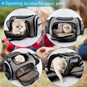 img 1 attached to 🐾 JVXYUIEH Airline Approved Pet Carrier - Large Expandable Soft-Sided Travel Carrier for Cats, Dogs, Guinea Pigs, Kittens, and Puppies - Collapsible with Removable Fleece Pad