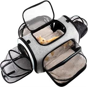 img 4 attached to 🐾 JVXYUIEH Airline Approved Pet Carrier - Large Expandable Soft-Sided Travel Carrier for Cats, Dogs, Guinea Pigs, Kittens, and Puppies - Collapsible with Removable Fleece Pad