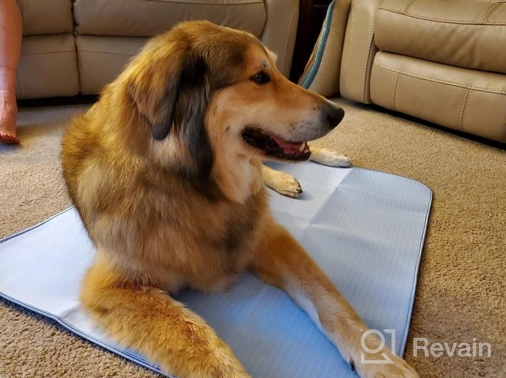 img 1 attached to Keep Your Dog Cool This Summer With LUXEAR Arc-Chill Pet Cooling Mat – Q-Max 0.34 Cooling Fiber, Ultra Absorbent, Washable And Reusable! review by Phil Anderson