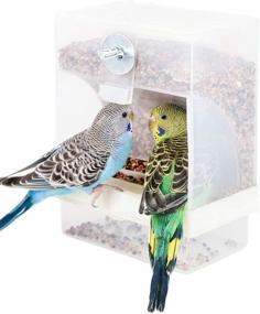 img 4 attached to 🐦 Convenient No-Mess Automatic Bird Feeder for Small Birds - Ideal Cage Accessories for Cockatiels, Parrots, Budgerigars, and More!
