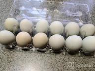 img 1 attached to Toplife Clear Plastic Eco-Friendly Egg Carton Set - 60 Ct., Securely Holds 6 Eggs with Sticker Labels review by Jon Thompson