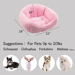 img 3 attached to Sherpa Fleece Pet Bed - Hollypet Rectangular Dog Bed For Small & Medium-Sized Dogs & Cats, Self-Warming Sleeping Bag Cushion In Pink