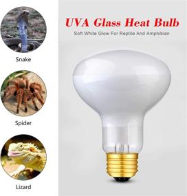 img 1 attached to 🦎 Reptile Heat Lamp Bulb 100W - Daylight Bulb for Reptile Basking: UVA Glass Heat Bulb, 2-Pack