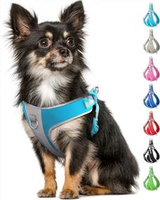 img 4 attached to Fida XS Dog Harness - Reflective Soft Air Mesh Vest, Adjustable For Small Dogs (XS, River Blue)