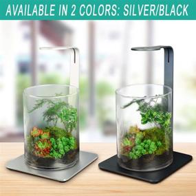 img 1 attached to Aquadock 2.5-Gallon Glass Fish Tank with Power Filter, Touching LED Lighting in 3 Colors (Silver)