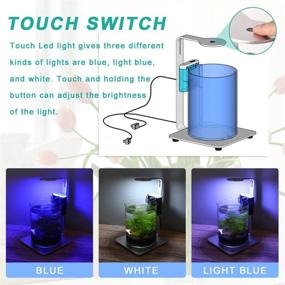 img 2 attached to Aquadock 2.5-Gallon Glass Fish Tank with Power Filter, Touching LED Lighting in 3 Colors (Silver)