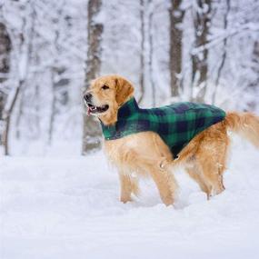 img 3 attached to 🐶 Stay Stylish & Warm: Kuoser British Style Plaid Dog Winter Coat - Windproof, Water Repellent, Cozy & Convenient XS-3XL