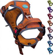 thinkpet halloween no pull harness: reflective, adjustable for medium/large dogs - easy control & breathable sport design! logo