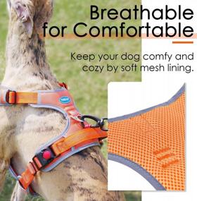 img 2 attached to ThinkPet Halloween No Pull Harness: Reflective, Adjustable For Medium/Large Dogs - Easy Control & Breathable Sport Design!