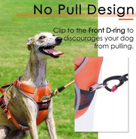 img 3 attached to ThinkPet Halloween No Pull Harness: Reflective, Adjustable For Medium/Large Dogs - Easy Control & Breathable Sport Design!