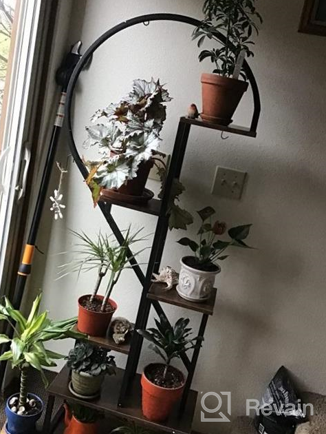 img 1 attached to 2 Pack Half Heart Shape Ladder Plant Stand For Indoor Plants - 6 Tier Metal Shelf Rack For Home Patio Lawn Garden By POTEY review by Drew Beckett