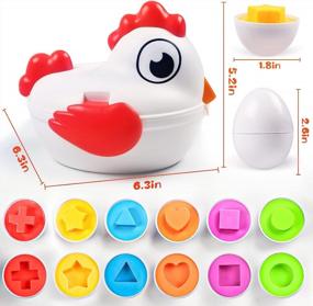 img 3 attached to 🥚 Doloowee Easter Eggs Toddler Toys: Educational Chicken Egg Shape Sorter for Montessori Baby, 12-18 Months Sensory Toys | Sorting and Matching Eggs | Gift for Girls & Boys 1, 2, 3+