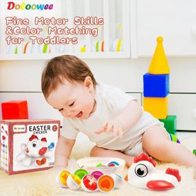 img 2 attached to 🥚 Doloowee Easter Eggs Toddler Toys: Educational Chicken Egg Shape Sorter for Montessori Baby, 12-18 Months Sensory Toys | Sorting and Matching Eggs | Gift for Girls & Boys 1, 2, 3+