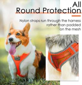 img 1 attached to Halloween Reflective Air Mesh No Pull Puppy Harness For Small Medium Dogs - Ventilation Choke Free Over Head Vest (Neon Orange, M) By ThinkPet