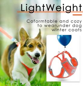 img 2 attached to Halloween Reflective Air Mesh No Pull Puppy Harness For Small Medium Dogs - Ventilation Choke Free Over Head Vest (Neon Orange, M) By ThinkPet