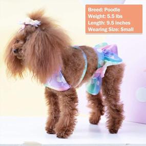 img 2 attached to Stylish KYEESE Dog Bikini In Polkadot, Floral, Mermaid, And Leopard Prints - Perfect For Small Dogs! Cute Dog Beach Swimsuit And Tutu Dress For Summer - Size M