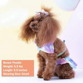 img 1 attached to Stylish KYEESE Dog Bikini In Polkadot, Floral, Mermaid, And Leopard Prints - Perfect For Small Dogs! Cute Dog Beach Swimsuit And Tutu Dress For Summer - Size M