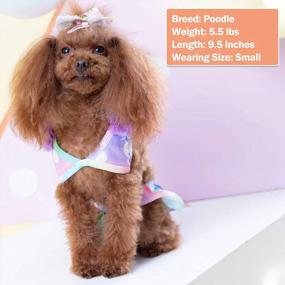 img 3 attached to Stylish KYEESE Dog Bikini In Polkadot, Floral, Mermaid, And Leopard Prints - Perfect For Small Dogs! Cute Dog Beach Swimsuit And Tutu Dress For Summer - Size M