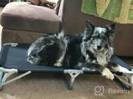 img 1 attached to Durable Steel Frame Pet Cot - Foldable, Lightweight And Portable For Dogs & Cats | GigaTent Elevated Bed For Comfortable Play & Rest. review by Dominic Kimbro