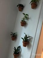 картинка 1 прикреплена к отзыву Stylish And Sturdy: TQVAI 6" Metal Planter Hangers - 3 Pack Wall-Mounted Flower Pot Holder Rings In Black от Justin Bishop