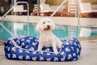 🐾 reversible blue anchor pet bed - petique medium size logo