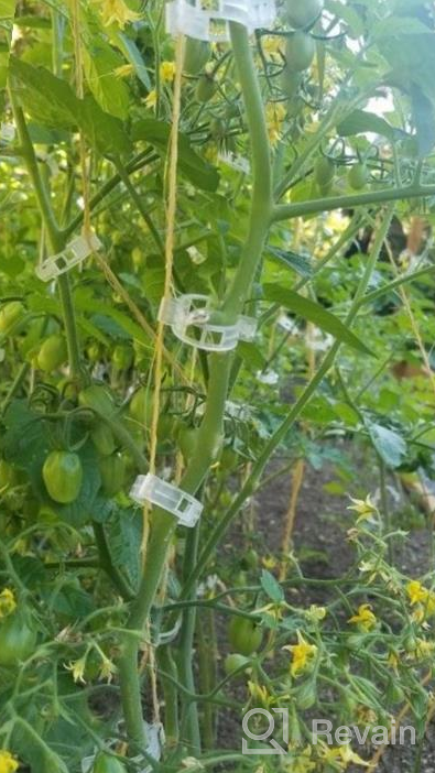 img 1 attached to 300-Pack Tomato Trellis Clips For Healthy Vine Growth And Support In Your Garden - Ideal For Vegetables And Plant Vines review by Duane Kaul