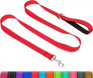 🐕 taglory nylon dog leash 6ft: stylish and safe leash for medium to large dogs - perfect for walking and training logo