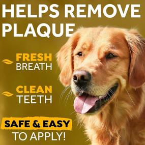 img 1 attached to Peanut Butter Flavor Dental Care Gel For Dogs - Say Goodbye To Plaque, Tartar And Bad Breath With TropiClean Fresh Breath NO BRUSH Oral Care Gel!