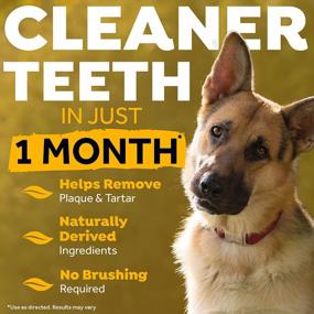img 3 attached to Peanut Butter Flavor Dental Care Gel For Dogs - Say Goodbye To Plaque, Tartar And Bad Breath With TropiClean Fresh Breath NO BRUSH Oral Care Gel!