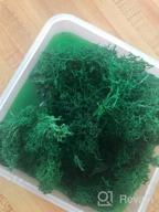 img 1 attached to Chartreuse Preserved Stardom Moss - Perfect For Fairy Gardens, Terrariums, Craft Projects & Weddings (3OZ) review by Joe Griffin