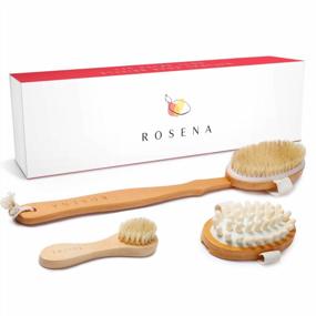 img 4 attached to Natural Bristle Spa Exfoliator Kit With Face Cleansing Brush - Dry Brushing Set For Lymphatic Drainage, Massaging Cellulite And Smooth Radiant Skin